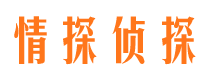 大关私家调查公司